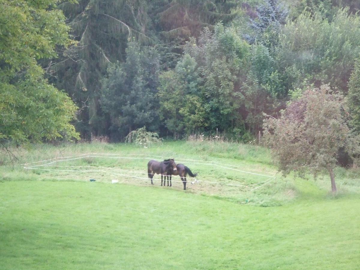Ferme Hurlet Vakantiehuis